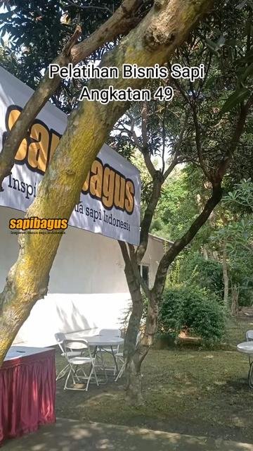 Pelatihan-Sapibagus-49-